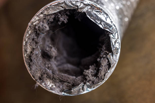 Best Local Air Duct Cleaning Services  in Huntsville, TN